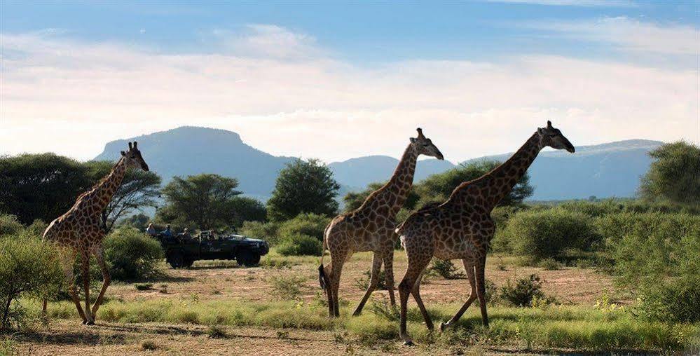 Marataba Safari Co Hotel Marakele National Park Kültér fotó