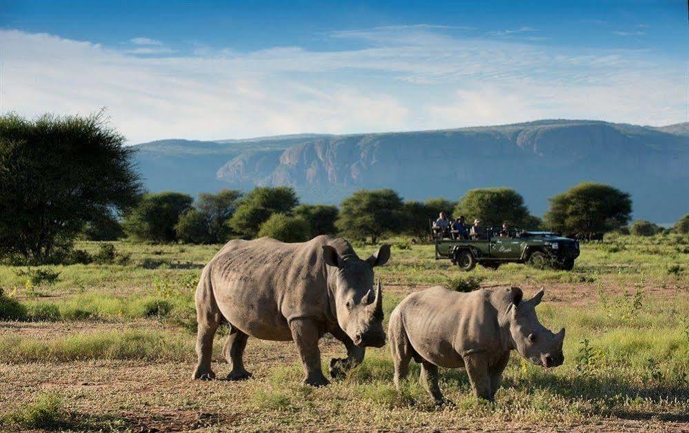 Marataba Safari Co Hotel Marakele National Park Kültér fotó